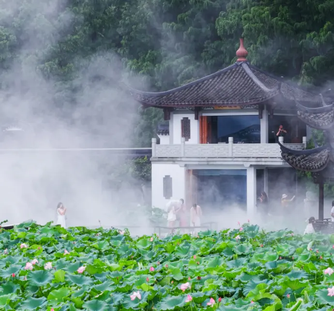 来杭州旅行走一走西湖最美的路,苏堤,白堤,杨公堤有多美?各有什么特色?