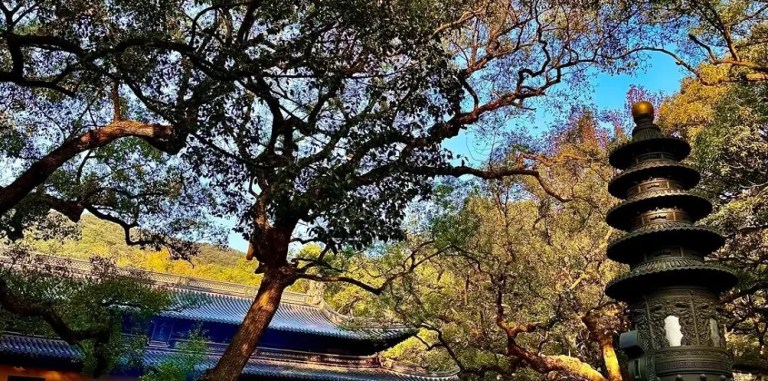公司正式成立