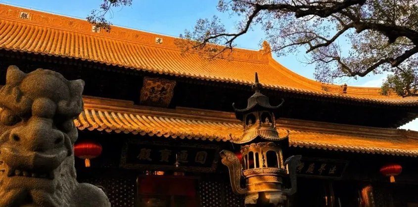 服务流程全面升级