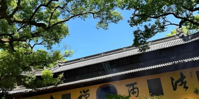 业务版图持续拓展