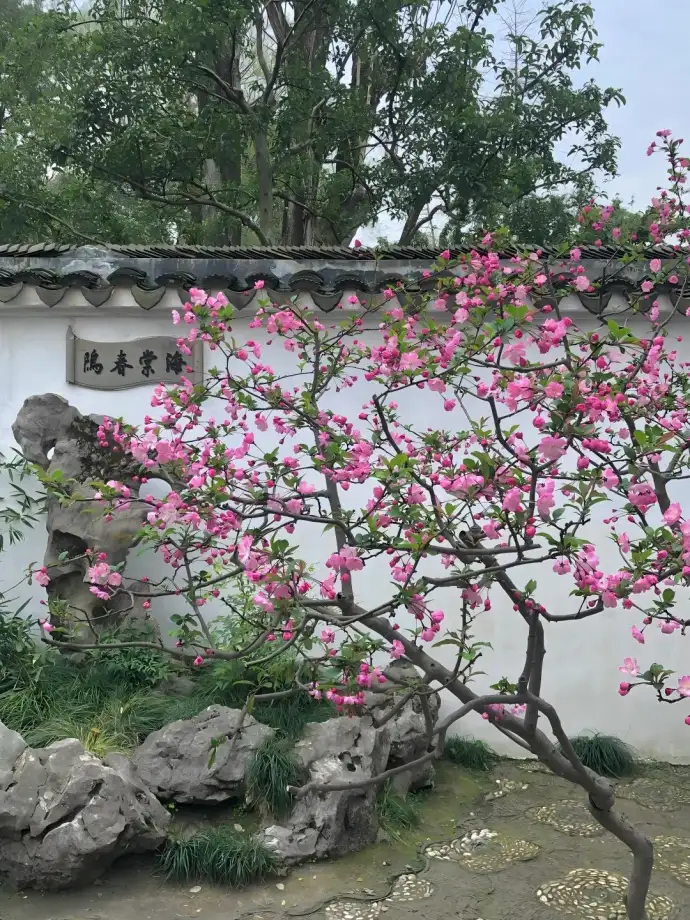海棠春坞