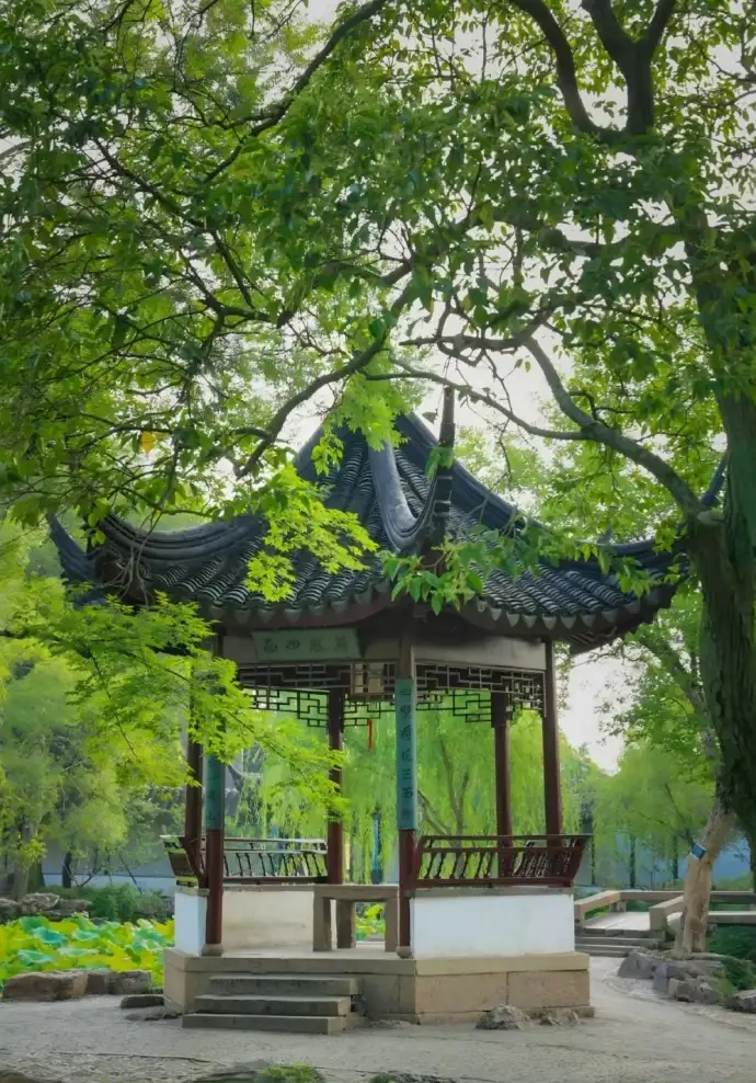 荷风四面亭