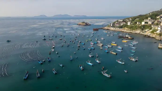 舟山美食全攻略｜海鲜排档+老字号+地道小吃合集，吃遍海岛鲜味儿不踩雷